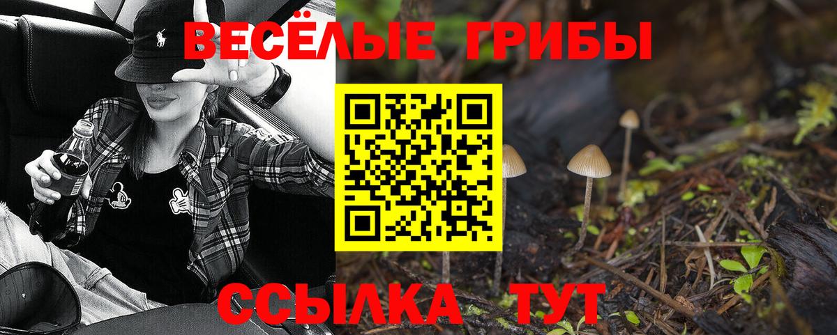 Псилоцибиновые грибы Cubensis  Вход с VPN  как найти закладки  Сатка 